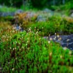 DISCOVERY25 full set-99