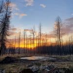 20251110_161749_953270